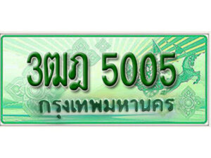 2. เลขทะเบียนสวย 5005 รถกระบะ – 3ฒฎ 5005 ทะเบียนป้ายเขียวเลขประมูล